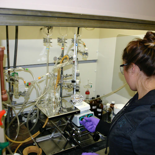 Student performing distillation
