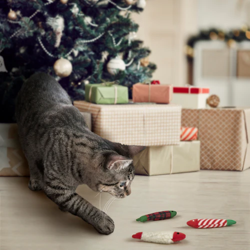gato en navidad