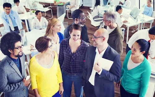 people collaborating in office