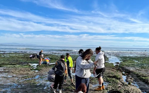 Estudiantes completando una encuesta en las rocas costeras