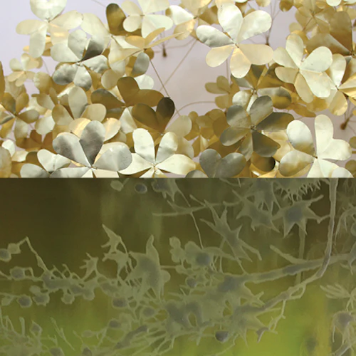 Natalya Burd & Kirk Maxson imagen dividida