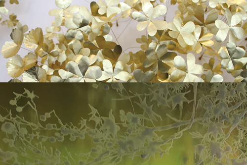 Natalya Burd & Kirk Maxson imagen dividida