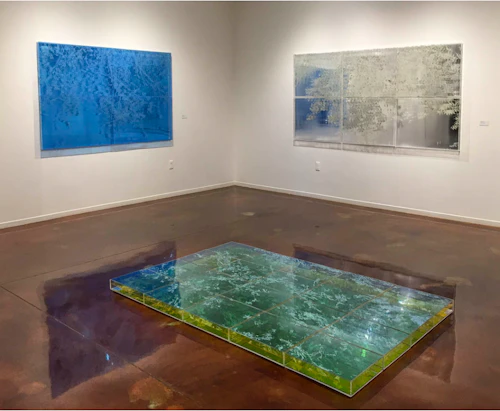 Vista de galería, galería trasera, Natalya Bird