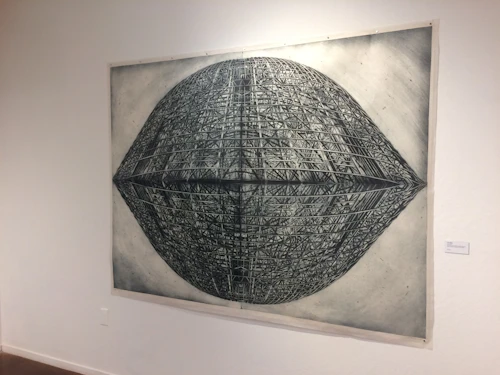 Jenny Robinson "Paradigma" dibujo de una sección en forma de cápsula seminifera dividida en cuadrantes