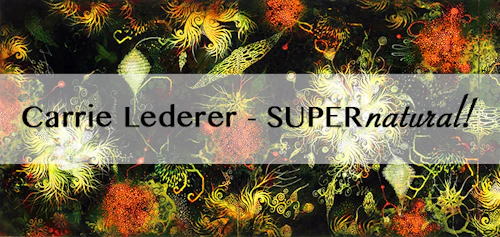 Carrie Lederer painting detail, black background, abstract floral shapes, in red, greens and yellows. with the name "Carrie Lederer "Supernatural" on top