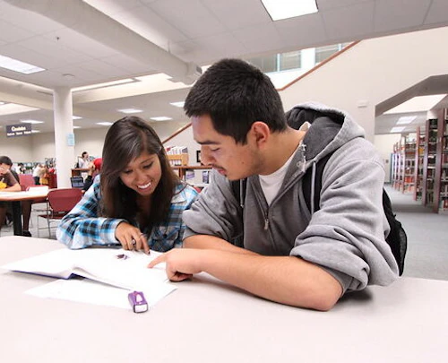 students studying together