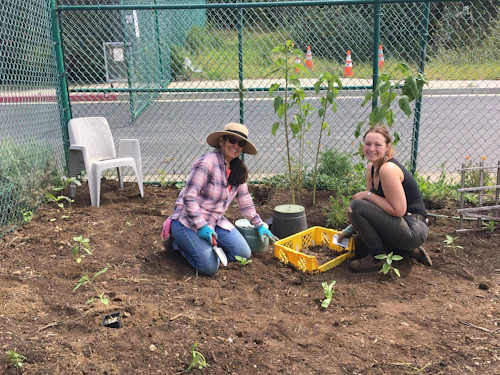 estudiantes en la granja