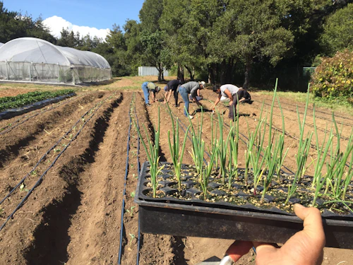 estudiantes trabajando