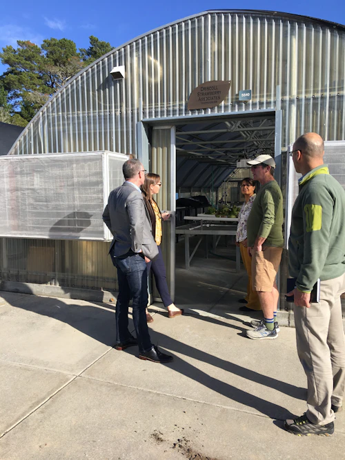 mirando un invernadero