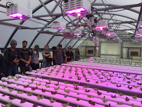 estudiantes en invernadero de agrotecnología