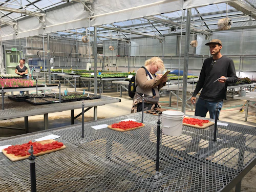 estudiante en invernadero