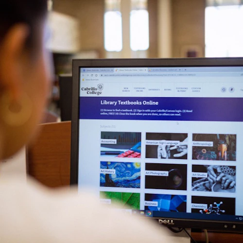 student using online textbooks