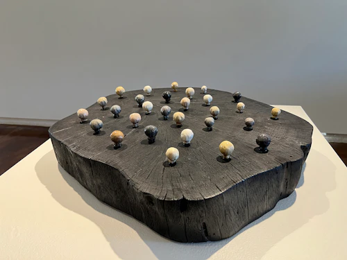 "Pearls", charred oak, fabric, polyurethane