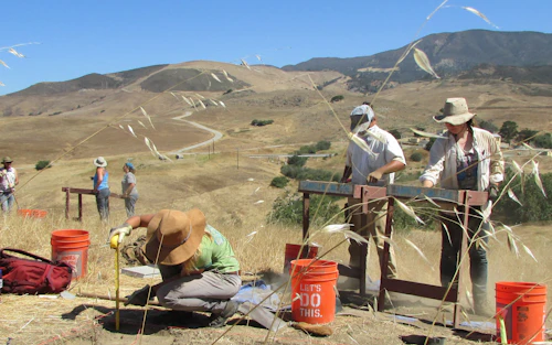 Estudiantes de antropología en una excavación en un campo seco y herbáceo