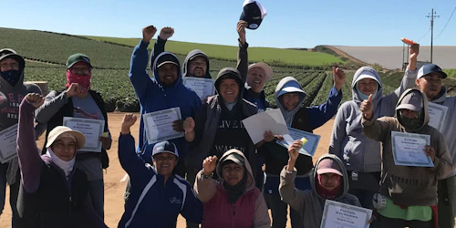 A crew of strawberry pickers and a labor organizer hold up certificates