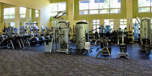 An empty gym with rows of equipment