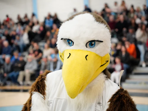 Sammy the Seahawk, Cabrillo mascot