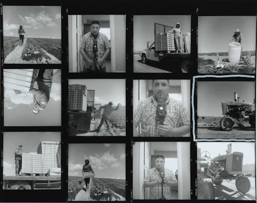 several images in a grid