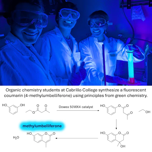 Organic Chemistry students study fluorescence