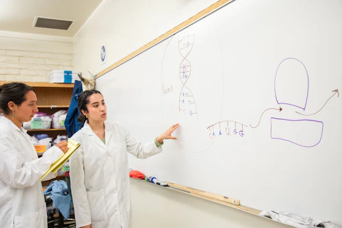 estudiantes frente a la clase