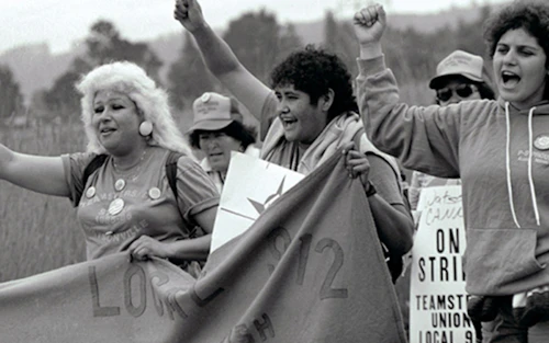 a photograph of women on a picket line during the Watsonville Cannery Strike