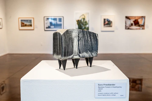 Sara Friedlander, back gallery