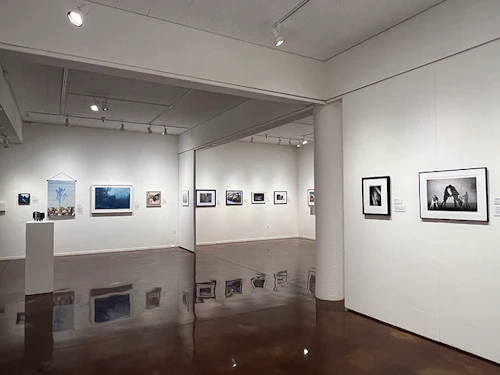 left wall small gallery, back gallery view, left wall view