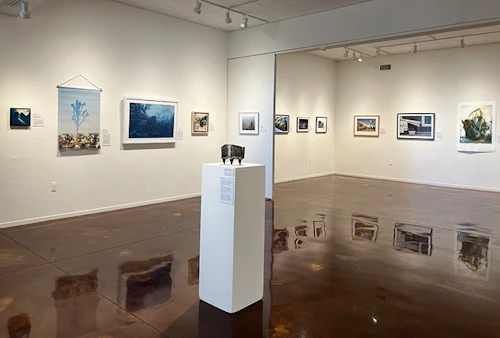 left wall, back gallery view, from front