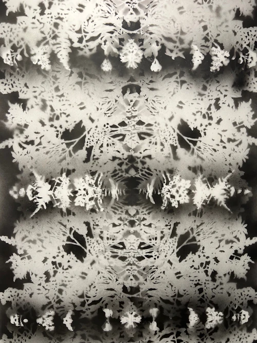 "Something to Divine, 1-16" by Ann Resnick, detail