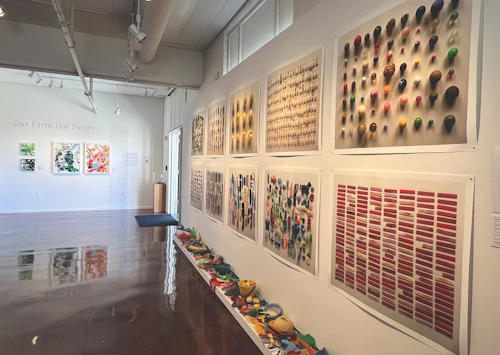 front wall view, Richard Lang & Judith Selby Lang, "Known Quantity", archival pigment prints on Polypro