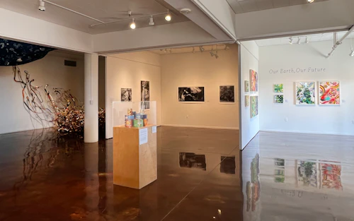 front, small gallery, back gallery installation view