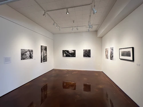 small gallery view, Jane Olin