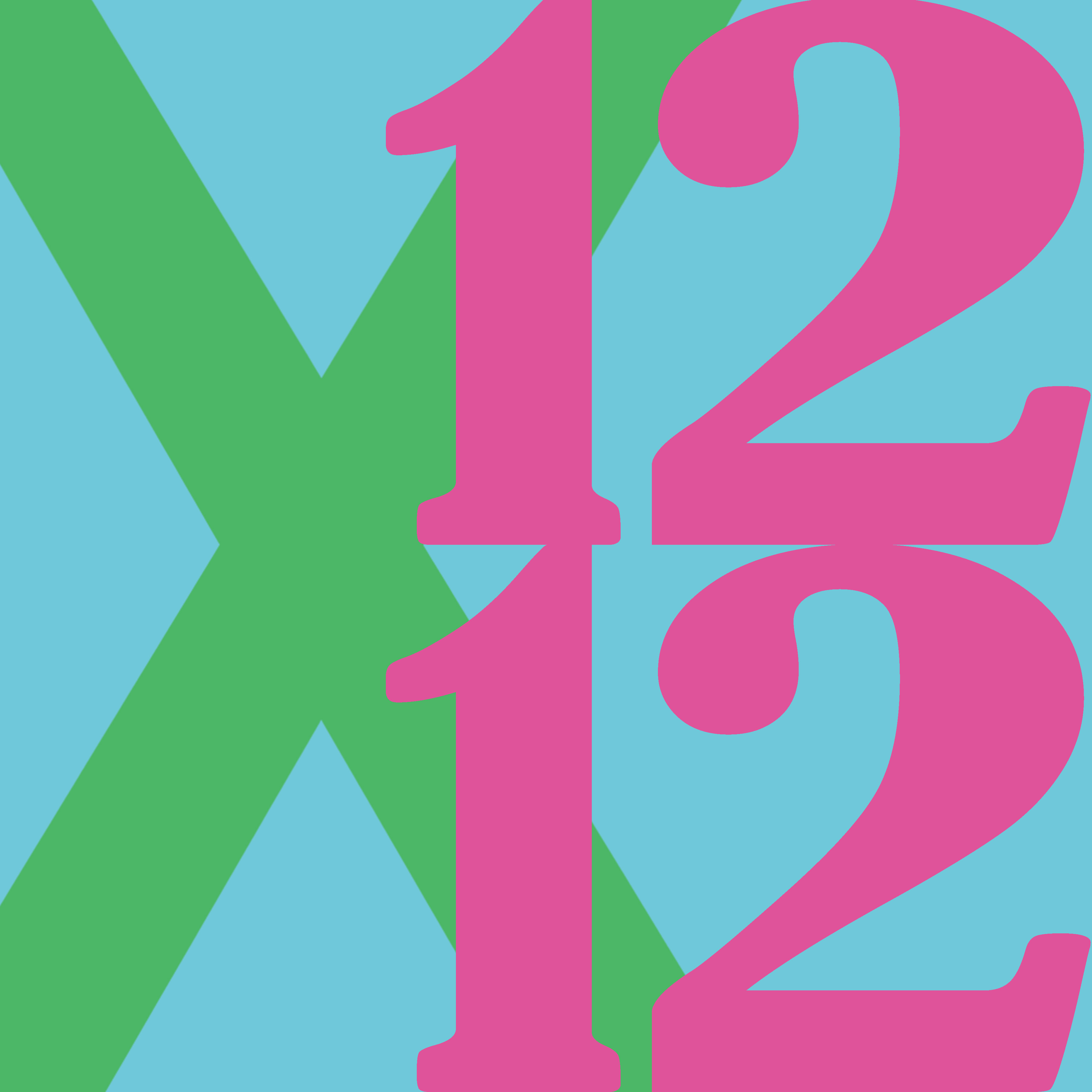 12 x 12 2026 logo