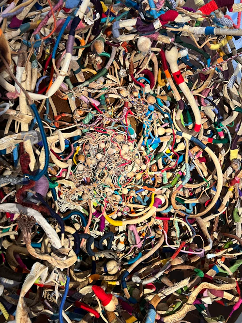 Kalie Grainer, detail "Underwater Nest: The Kelp Forest Sanctuary of Life", kelp and yarn