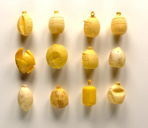 Richard & Judith Lang, "Known Quantity-Lemons", archival pigment print on polypro