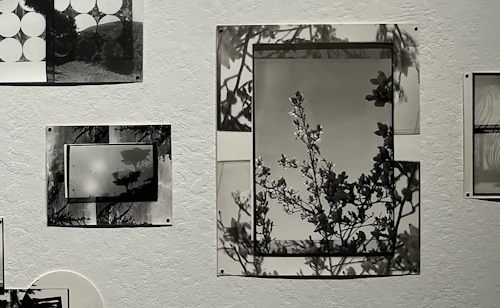 Beatrice Thornton, installation detail