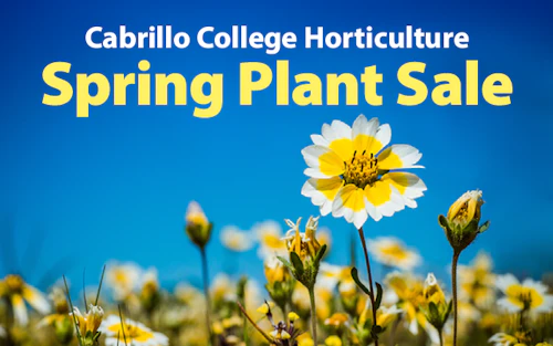 Cabrillo Horticulture Spring Plant Sale