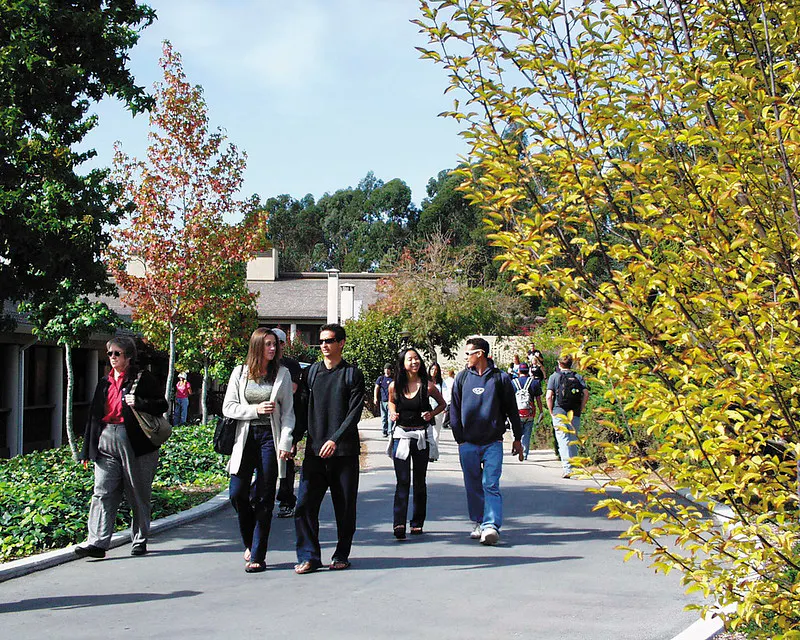 Students at Cabrillo College