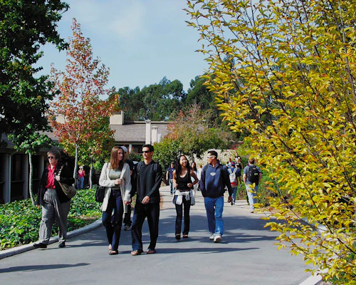 Students at Cabrillo College